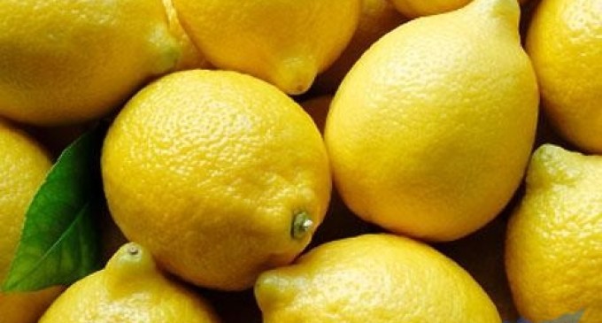 Avola, rubano 110 kg di limoni in contrada Porretta, arrestati due uomini dai Carabinieri