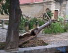 Noto, tromba d’aria, in piazza Nino Bixio l’albero cade sulla storica fontana