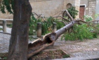 Noto, tromba d’aria, in piazza Nino Bixio l’albero cade sulla storica fontana