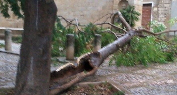 Noto, tromba d’aria, in piazza Nino Bixio l’albero cade sulla storica fontana