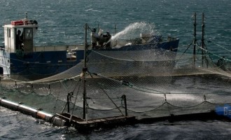 Pachino. Sciopero degli operai ‘Acqua Azzurra’, da 4 mesi senza stipendio