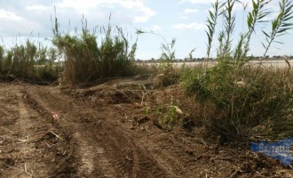 Sbancamenti al pantano ‘Cuba’, la denuncia del comitato scientifico: ‘aprire indagine’