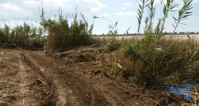 Sbancamenti al pantano ‘Cuba’, la denuncia del comitato scientifico: ‘aprire indagine’