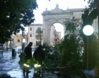 Noto, forte vento e pioggia dopo la nevicata, si è spezzato un albero alla villa comunale