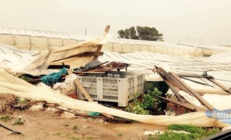 Agricoltura in ginocchio, Vinciullo:”Venerdì task force protezione civile regionale in città”.