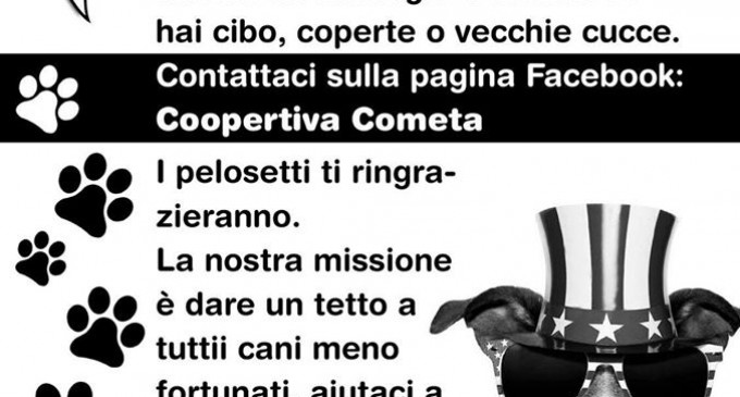 Noto. Lanciata la campagna #savetheangels per l’aiuto e l’adozione dei cani randagi