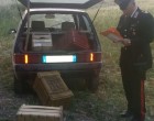 Pachino. Sorpreso a rubare 200kg di agrumi, arrestato dai Carabinieri