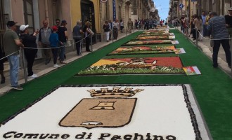 Pachino. La “Testa di moro” degli studenti del “Bartolo” si aggiudica il primo premio dell’Inverdurata